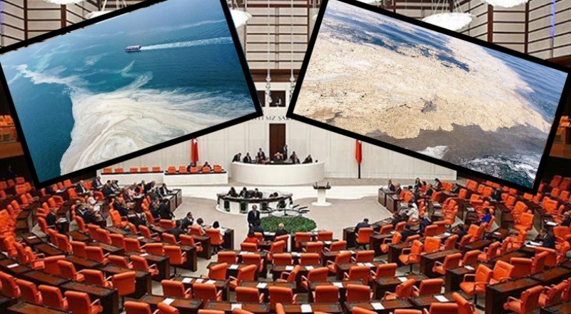 TBMM'de müsilaj sorunu için araştırma komisyonu kurulacak