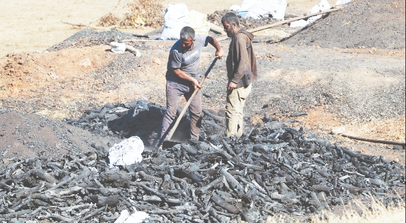 TBMM’deki komisyonda Türkiye Taşkömürü Kurumu’nun hesapları görüşüldü
