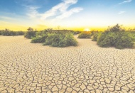 TBMM’ye rapor: Kuraklık en sinsi afet, acilen önlem alınmalı