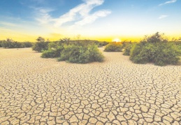 TBMM’ye rapor: Kuraklık en sinsi afet, acilen önlem alınmalı