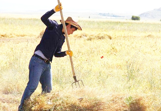TCDD yolcu taşımacılığı ihalesi talip çıkmadığı için çıkmaza girdi