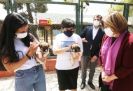 Tedavileri tamamlanıp, doğal yaşam alanlarına bırakıldılar