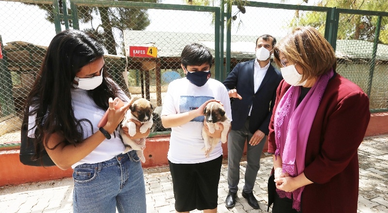 Tedavileri tamamlanıp, doğal yaşam alanlarına bırakıldılar