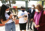 Tedavileri tamamlanıp, doğal yaşam alanlarına bırakıldılar