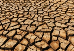 Tehlike çanları çalıyor