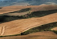 TEİAŞ, EÜAŞ ve Hazine'ye ait 243 taşınmaz özelleştirilecek