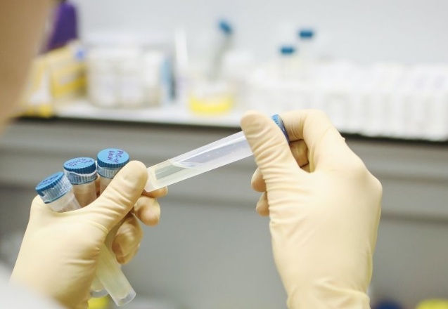 Tek doz aşı olanların oranı 81 ilde yüzde 65'i geçti