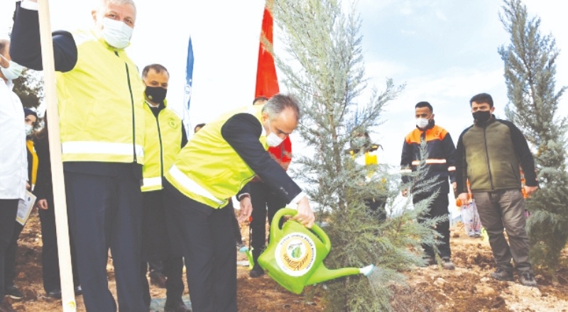 TEMA Vakfı’ndan ‘Sağlık Çalışanları Ormanı’