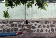 Temizlik işçileri, suyun içinde el bombası buldu