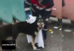 Temizlik işçisi yağmurdan ıslanan köpeği kuruladı, içleri ısıttı