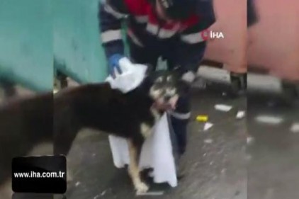 Temizlik işçisi yağmurdan ıslanan köpeği kuruladı, içleri ısıttı