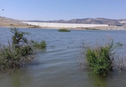 "Tepki gösterilmediği an tam su tutma başlar"