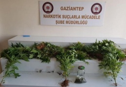 Terasta uyuşturucu var