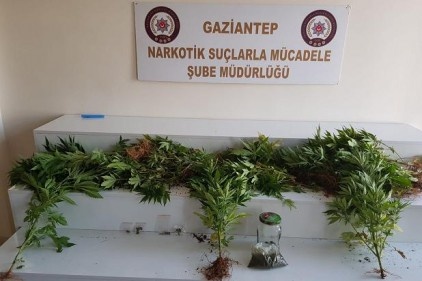 Terasta uyuşturucu var