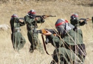 Teröristler bir cep telefonu ve bir cep telefonu bataryası ile bir atı zorla aldı