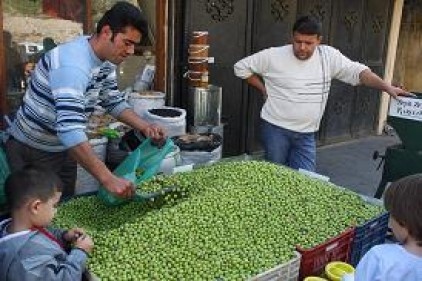 Tezgahlarda yerini alan yeşil zeytin yok satıyor 