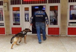 Timsah ve Alex ile geneleve operasyon yapıldı