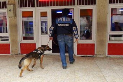 Timsah ve Alex ile geneleve operasyon yapıldı