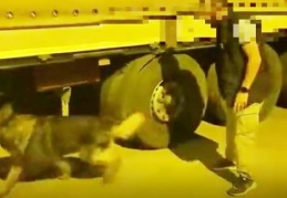 Tırın özel bölmesine saklanan kaçak sigaraları polis köpeği buldu