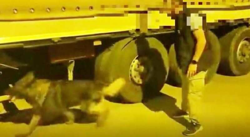 Tırın özel bölmesine saklanan kaçak sigaraları polis köpeği buldu