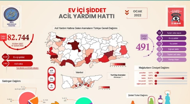 TKDF: Ev içi şiddetin yüzde 62,2'si eşler tarafından uygulandı