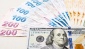 TL'de kayıplar hızlandı; dolar 16,30 lirayı aştı