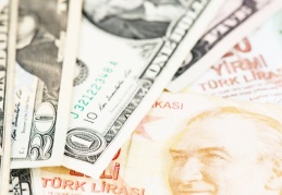TL'nin bu yılki değer kaybı yüzde 25 seviyesine ulaşabilir