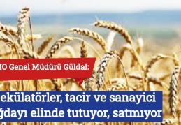 TMO Genel Müdürü Güldal: Spekülatörler, tacir ve sanayici buğdayı elinde tutuyor, satmıyor
