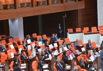Toğrul, kadına yönelik şiddetti meclise taşıdı