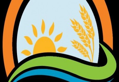 Tohumluk üretimi ve pazarlama hakkı en fazla 10 yıl süre ile satılacak