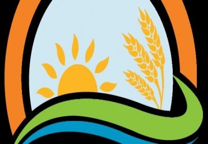 Tohumluk üretimi ve pazarlama hakkı en fazla 10 yıl süre ile satılacak