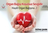 Tolay: Organ bağışına yönelik toplumsal bilinç arttırılmalı