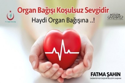 Tolay: Organ bağışına yönelik toplumsal bilinç arttırılmalı