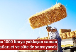 Tonu 1000 liraya yaklaşan saman fiyatları et ve süte de yansıyacak