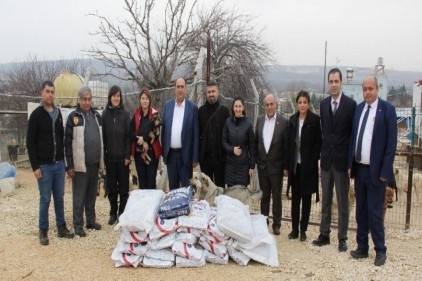 Toplanan yardım malzemelerinin ilk kısmı barınaklara teslim edildi