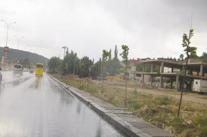 Toprağın yüzü güldü