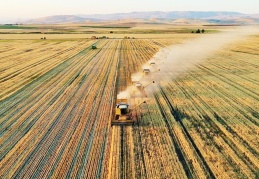 "Toprak, anayasal güvenceyle korunmalı"
