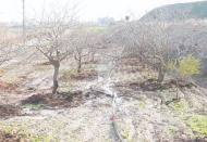 Toprak, kaybetmesi göze alınamayacak kadar kıymetli