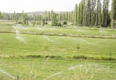 Topraklarımıza hunharca betonlar dökülüyor, imara açılıyor binalar dikiliyor ve fabrikalar kuruluyor