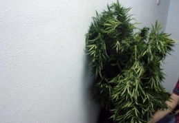 Torbacılar yakayı ele verdi