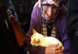 Torununu kedisi kucağında uğurladı