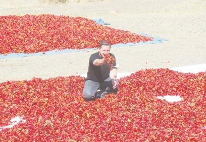 “Toz biber fiyatları geçen yola oranla düştü”