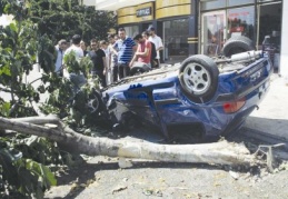 Trafik kazasında bir ağaç yaşamını yitirdi