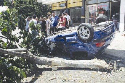 Trafik kazasında bir ağaç yaşamını yitirdi