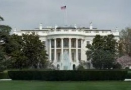 Trump yönetimi, aha fazla yabancı çalışanın istihdamı için adım attı
