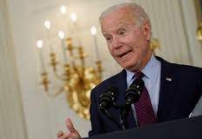 TSK'nin harekatı IŞİD’le mücadeleye zarar veriyor