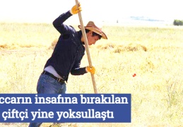 Tüccarın insafına bırakılan çiftçi yine yoksullaştı