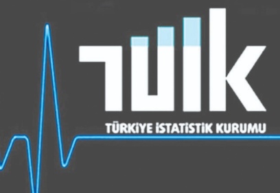 TÜİK, 2020 Ölüm ve Ölüm Nedeni istatistiklerini neden ileri bir tarihe erteledi?