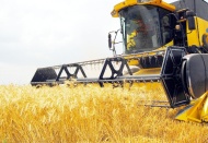 TÜİK: Tarım-ÜFE, yıllık yüzde 23,10 arttı