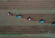 TÜİK: Tarımsal girdi enflasyonu yüzde 103'e yükseldi